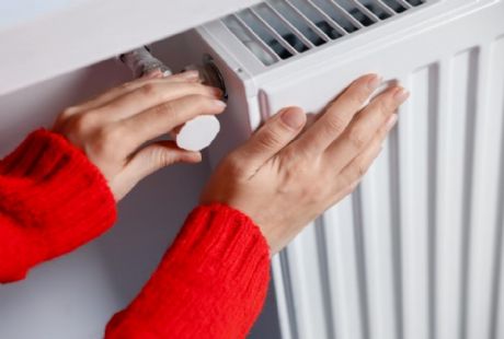 Kepez Petek Temizleme